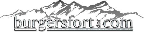 Burgersfort.com Logo